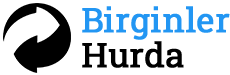 logo-birginlerhurda